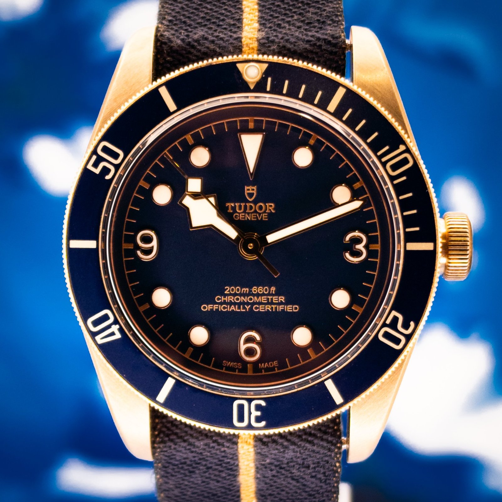 1789423754609-QjJJw8C3.jpg Tudor Black Bay Heritage Bronze / Bucherer Blue / Leather + Fabric — photo 1